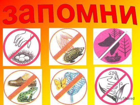 Рисунок плаката на любую тему