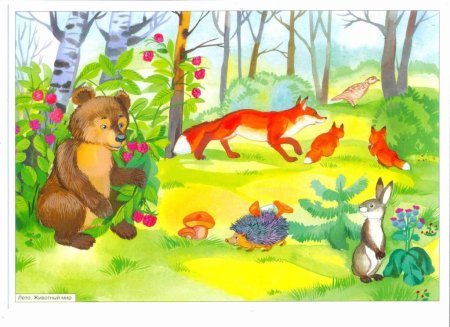 Лесные звери в лесу