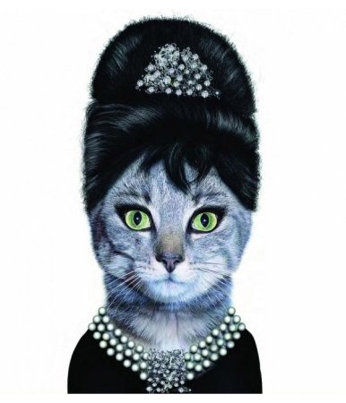 Одри Хэпберн с кошкой