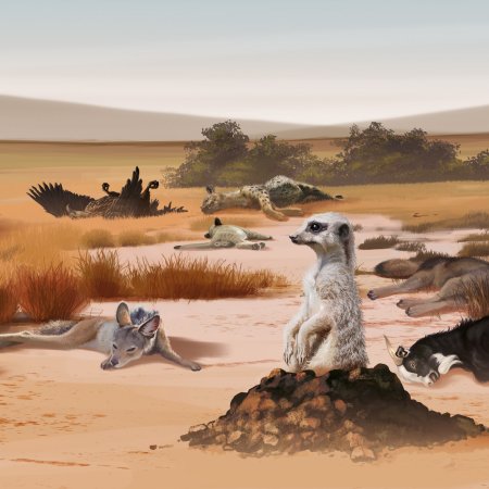 Раскраска верблюд в пустыне для детей