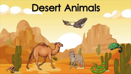 Обитатели пустыни для детей