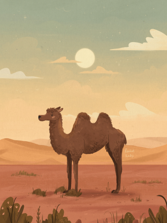 Жители пустыни для детей