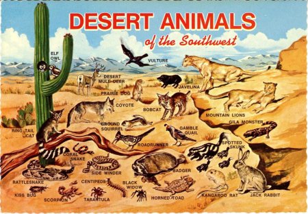 Нарисовать пустыню