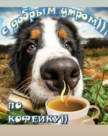 Прикольные открытки с добром утром