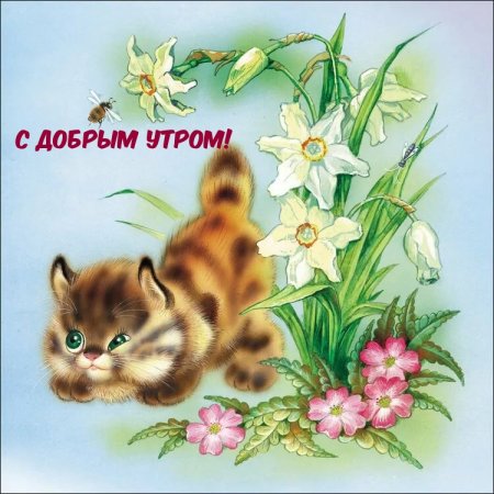 Сказочные котята