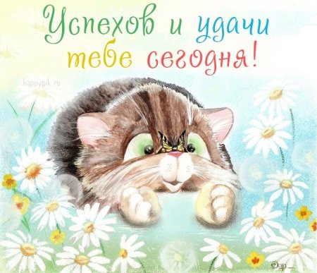 Доброе утро кот с бабочкой