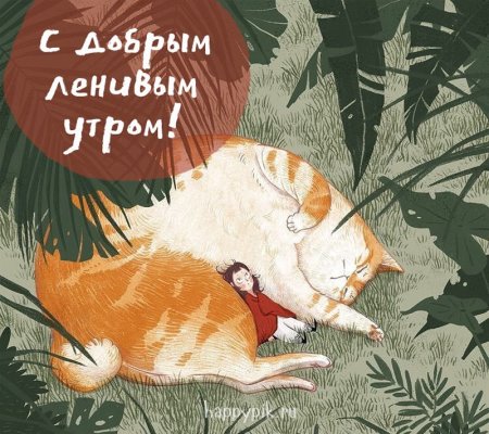 Доброе ленивое утро