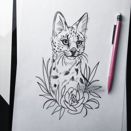 Рисунки для скетчбука животные