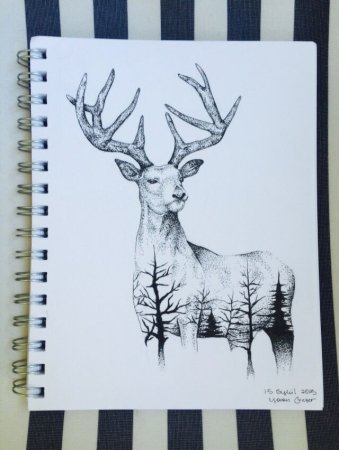 Красивые животные для скетчбука