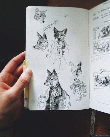 Зарисовки животных в скетчбуке
