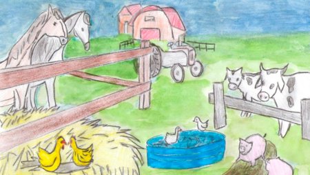 Сельское хозяйство глазами детей