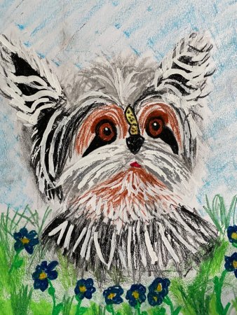 Животные глазами детей рисунки