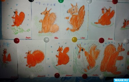 Рисование белка в старшей группе