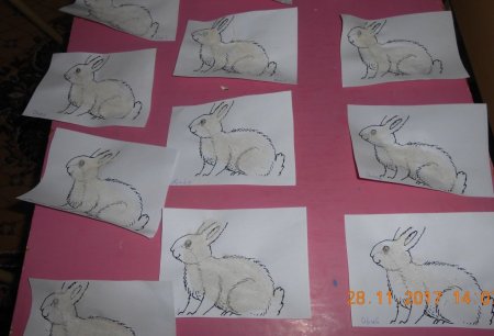 Рисование в старшей группе животные