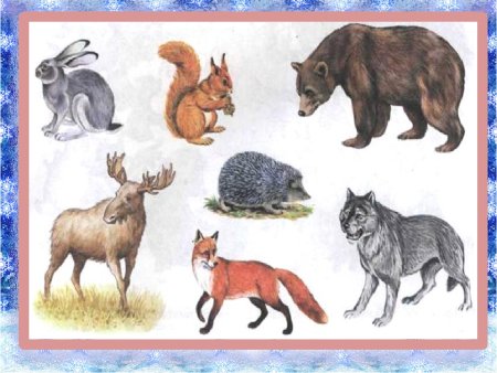 Животные леса для детского сада