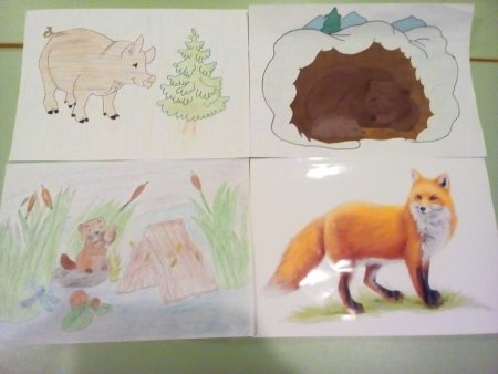 Рисование Дикие животные 2 младшая группа