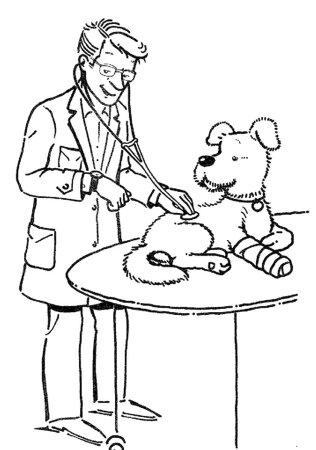 Профессия ветеринар раскраска