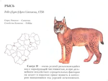 Редкие животные Калужской области занесенные в красную книгу