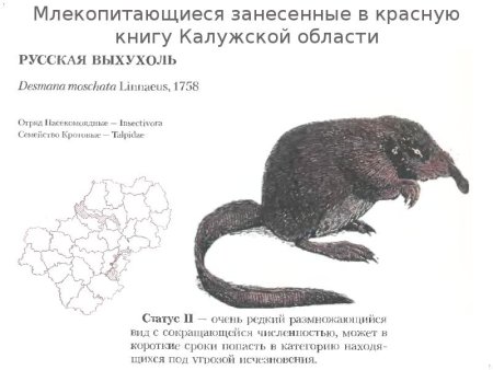 Красная книга Калужской области книга