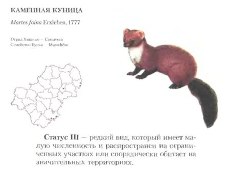 Животные Калужской области занесенные в красную книгу