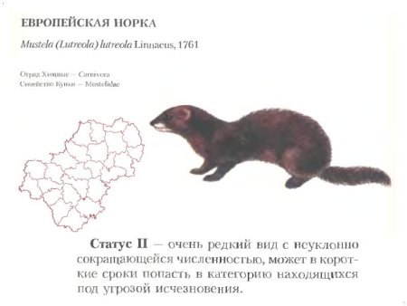 Растения и животные Калужской области занесенные в красную книгу