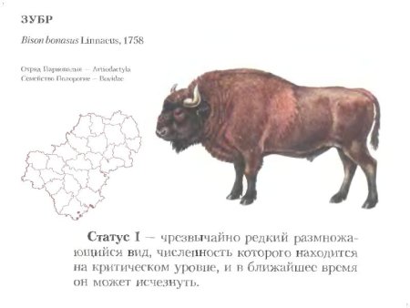 Животные Калужской области занесенные в красную