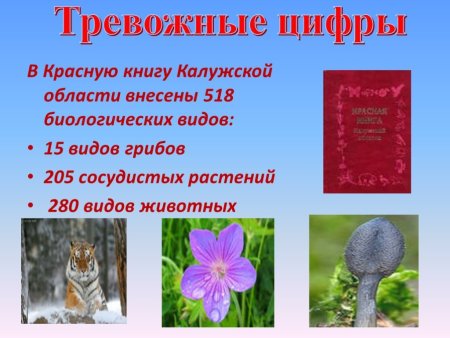 Красная книга Калужской области презентация