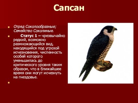 Животные красной книги Калужской области