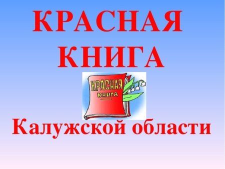 Животные красной книги раскраска