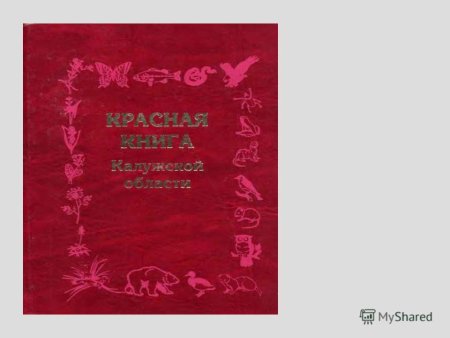 Животные красной книги Калужской области