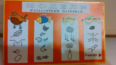 Изобрази с помощью схематических рисунков главные признаки