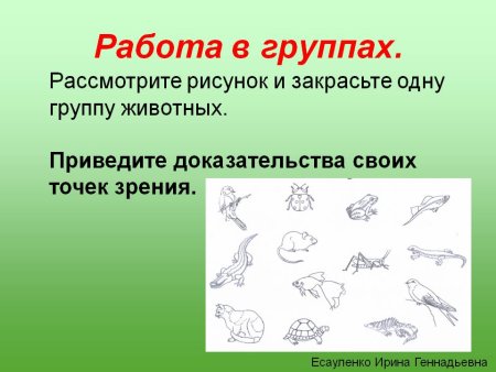 Поэтапное рисование рыбки
