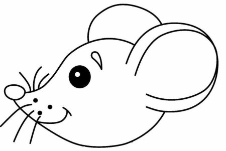 Мордочка мышки