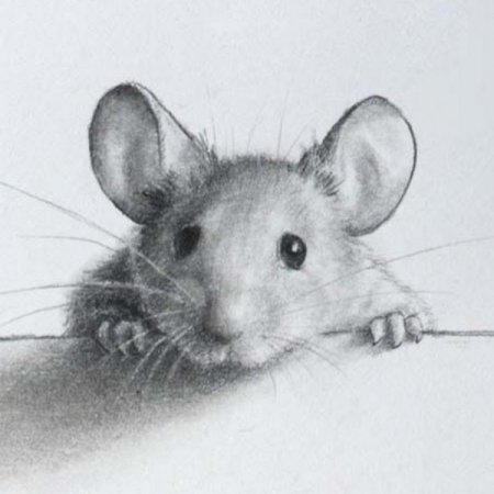 Эскиз мышонка