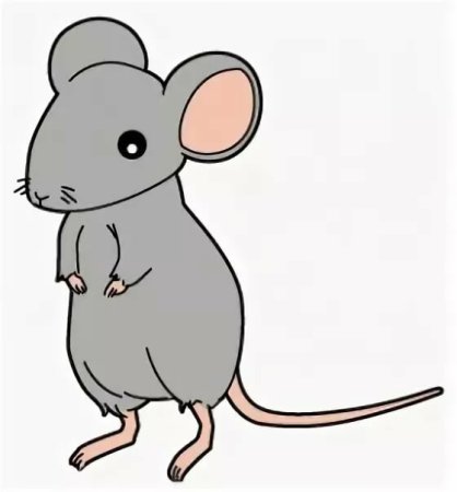 Картинки мышей для срисовки