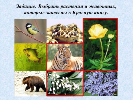 Красная книга России
