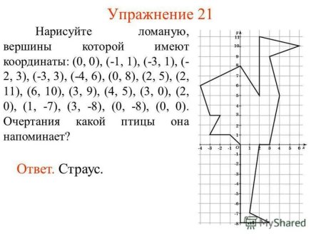 Конь на координатной плоскости