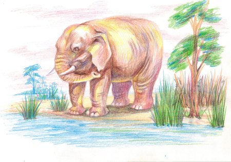 Камиль сен-Санс слон