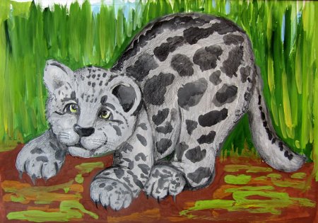 Животные рисунки