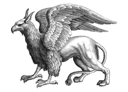 Древнегреческая мифология Грифон