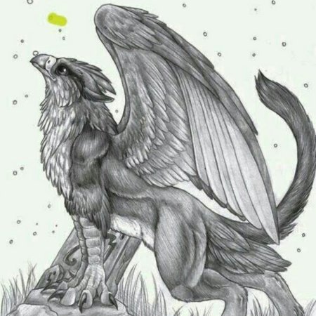 Грифон эскиз