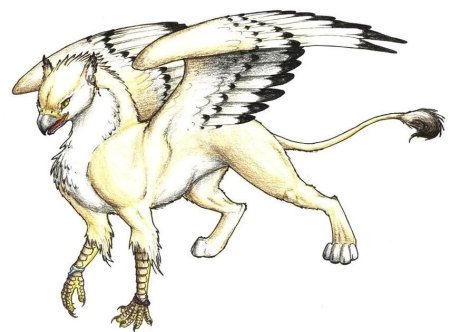 Фантастические животные