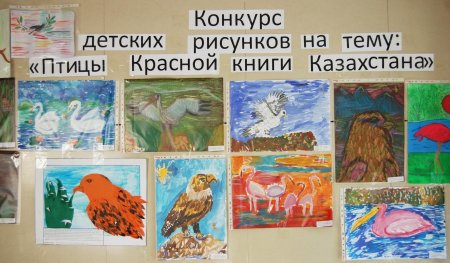 Рисунок на тему красная книга