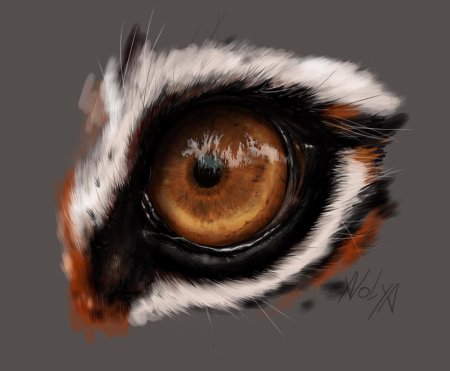Эскиз глаза животного