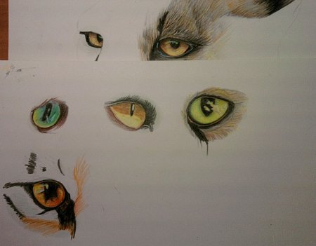 Кошачий глаз карандашом