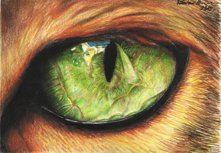 Картина глаза