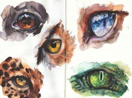 Акварель глаза животных