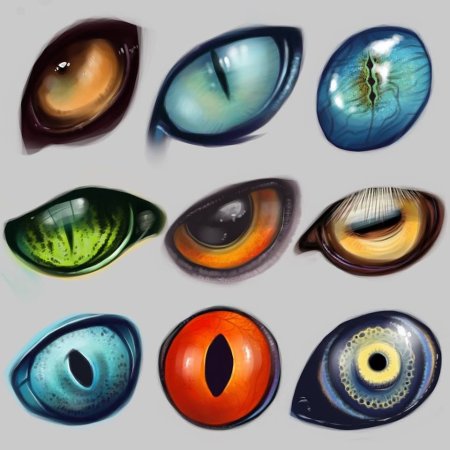 Глаза дракона туториал