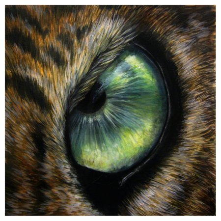 Глаза животных