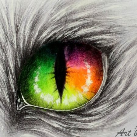 Глаза животных цветными карандашами